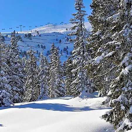 Scol Zillertal