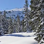 Scol Zillertal