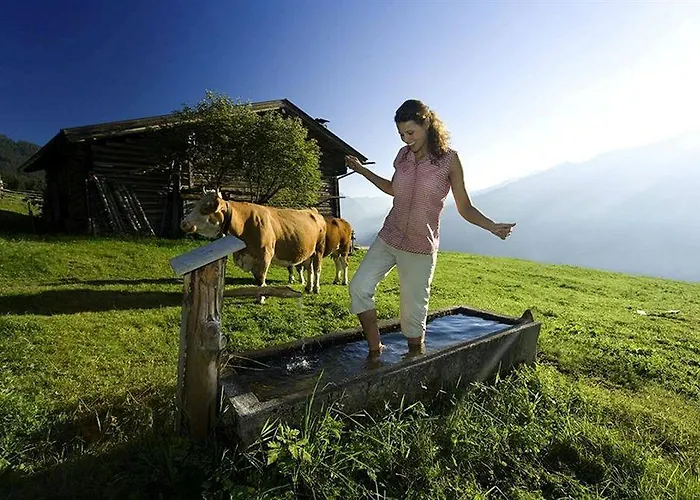 Scol Zillertal 菲根